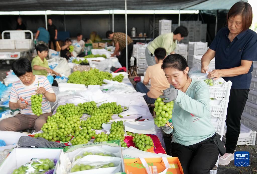 天天斗地主免费下载