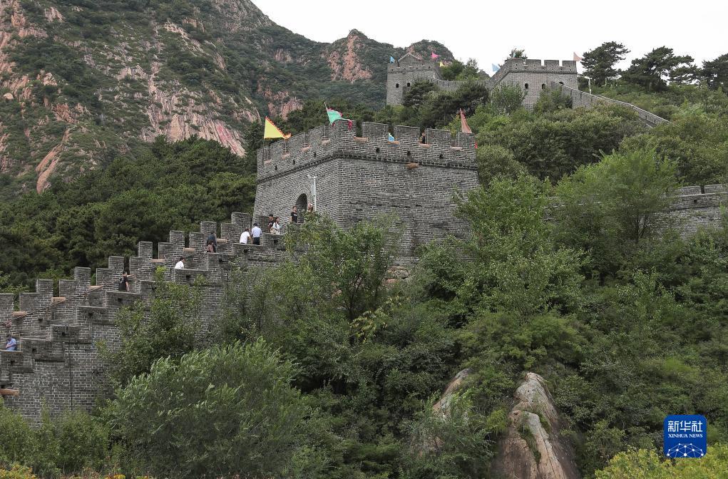 254俄罗斯娱乐登录